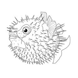 着色页: 海洋生物 (动物) #22034 - 免费可打印着色页