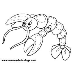 着色页: 海洋生物 (动物) #22080 - 免费可打印着色页