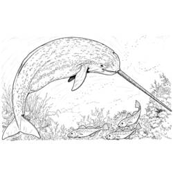 着色页: 海洋生物 (动物) #22104 - 免费可打印着色页