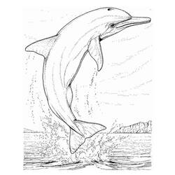 着色页: 海洋生物 (动物) #22143 - 免费可打印着色页