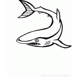 着色页: 海洋生物 (动物) #22144 - 免费可打印着色页
