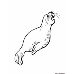 着色页: 海洋生物 (动物) #22145 - 免费可打印着色页