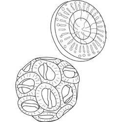 着色页: 海洋生物 (动物) #22180 - 免费可打印着色页