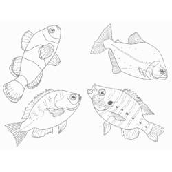 着色页: 海洋生物 (动物) #22222 - 免费可打印着色页