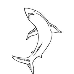 着色页: 海洋生物 (动物) #22255 - 免费可打印着色页