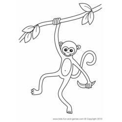 着色页: 猴 (动物) #14184 - 免费可打印着色页