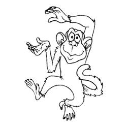 着色页: 猴 (动物) #14224 - 免费可打印着色页