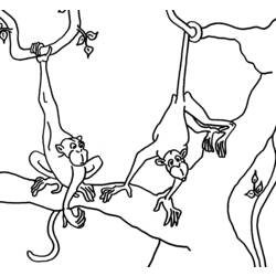 着色页: 猴 (动物) #14232 - 免费可打印着色页