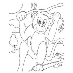 着色页: 猴 (动物) #14252 - 免费可打印着色页