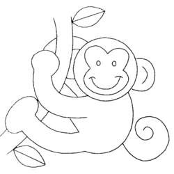 着色页: 猴 (动物) #14276 - 免费可打印着色页