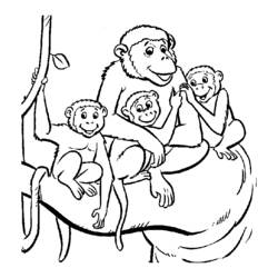 着色页: 猴 (动物) #14290 - 免费可打印着色页