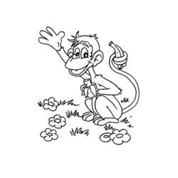 着色页: 猴 (动物) #14300 - 免费可打印着色页