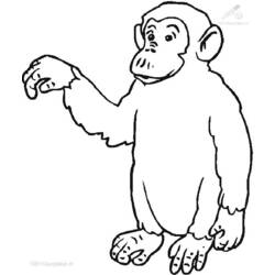 着色页: 猴 (动物) #14304 - 免费可打印着色页