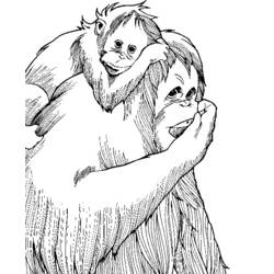 着色页: 猴 (动物) #14333 - 免费可打印着色页