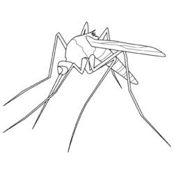 着色页: 蚊子 (动物) #11320 - 免费可打印着色页