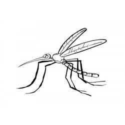 着色页: 蚊子 (动物) #11322 - 免费可打印着色页
