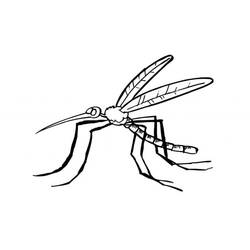 着色页: 蚊子 (动物) #207171 - 免费可打印着色页