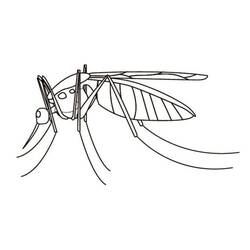 着色页: 蚊子 (动物) #207178 - 免费可打印着色页