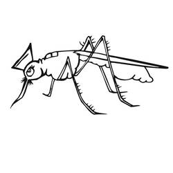 着色页: 蚊子 (动物) #207189 - 免费可打印着色页