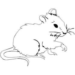 着色页: 老鼠 (动物) #13943 - 免费可打印着色页