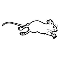 着色页: 老鼠 (动物) #13985 - 免费可打印着色页