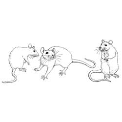 着色页: 老鼠 (动物) #14056 - 免费可打印着色页