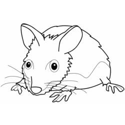 着色页: 老鼠 (动物) #14130 - 免费可打印着色页