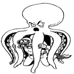 着色页: 章鱼 (动物) #18932 - 免费可打印着色页