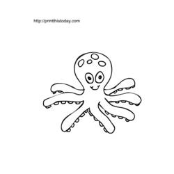 着色页: 章鱼 (动物) #18947 - 免费可打印着色页