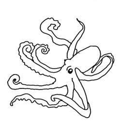 着色页: 章鱼 (动物) #18954 - 免费可打印着色页