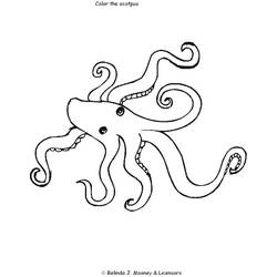 着色页: 章鱼 (动物) #18965 - 免费可打印着色页