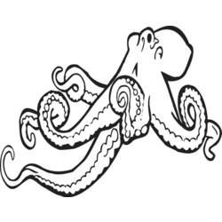 着色页: 章鱼 (动物) #18966 - 免费可打印着色页