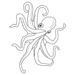 着色页: 章鱼 (动物) #18976 - 免费可打印着色页
