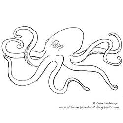 着色页: 章鱼 (动物) #18979 - 免费可打印着色页