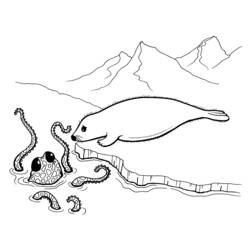 着色页: 章鱼 (动物) #19023 - 免费可打印着色页