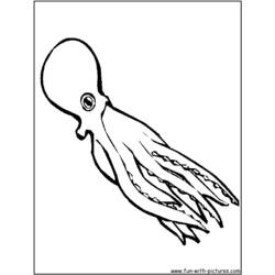 着色页: 章鱼 (动物) #19031 - 免费可打印着色页