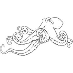 着色页: 章鱼 (动物) #19054 - 免费可打印着色页