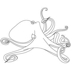 着色页: 章鱼 (动物) #19075 - 免费可打印着色页