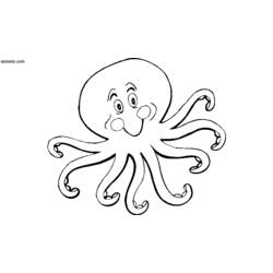 着色页: 章鱼 (动物) #19076 - 免费可打印着色页
