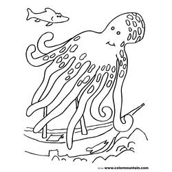 着色页: 章鱼 (动物) #19087 - 免费可打印着色页