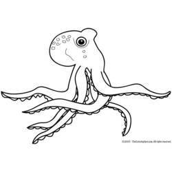着色页: 章鱼 (动物) #19095 - 免费可打印着色页