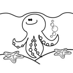 着色页: 章鱼 (动物) #19097 - 免费可打印着色页