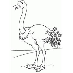 着色页: 鸵鸟 (动物) #677 - 免费可打印着色页