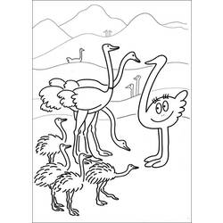 着色页: 鸵鸟 (动物) #722 - 免费可打印着色页