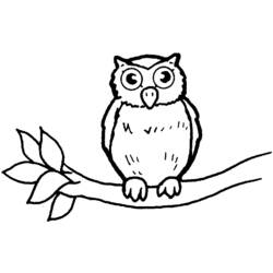 着色页: 猫头鹰 (动物) #8417 - 免费可打印着色页