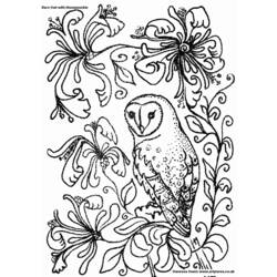 着色页: 猫头鹰 (动物) #8441 - 免费可打印着色页