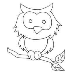 着色页: 猫头鹰 (动物) #8442 - 免费可打印着色页
