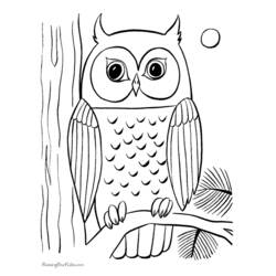 着色页: 猫头鹰 (动物) #8443 - 免费可打印着色页