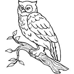 着色页: 猫头鹰 (动物) #8458 - 免费可打印着色页