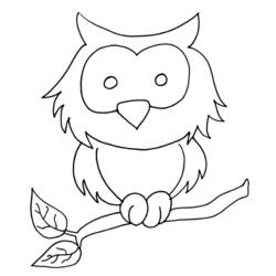 着色页: 猫头鹰 (动物) #8477 - 免费可打印着色页